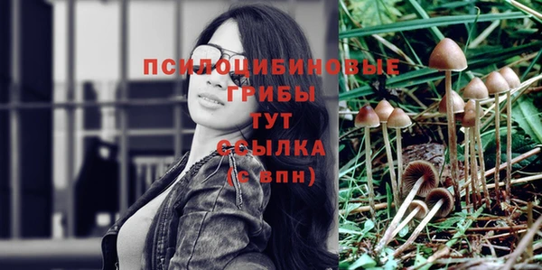 гидра Шали