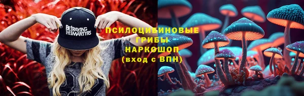 гидра Шали